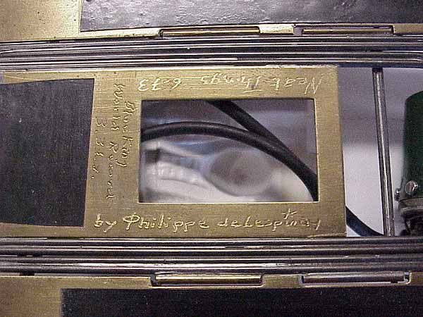 Ron Hershman's Collection